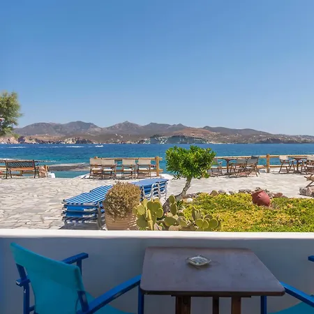 Apollon פולוניה