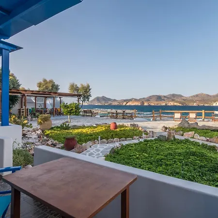 Apollon פולוניה